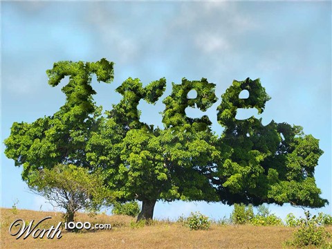 Photoshop Design by amalmansy