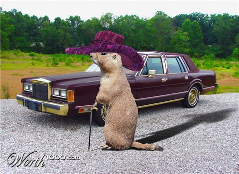 Photoshop Design by djdoubt03