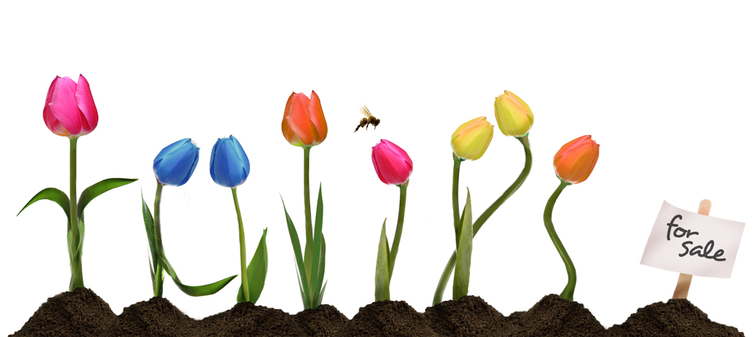 Photoshop Design by musicxjunkie for DesignCrowd (Community Contests) | Design #8976588