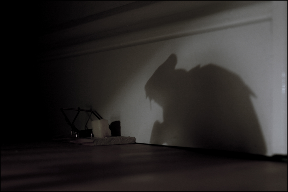 Fotografie von sodigece für DesignCrowd (Community Contests) | Design #8978347