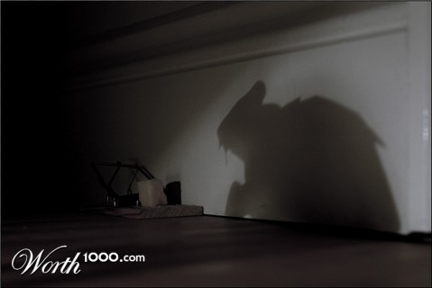 Photography by sodigece