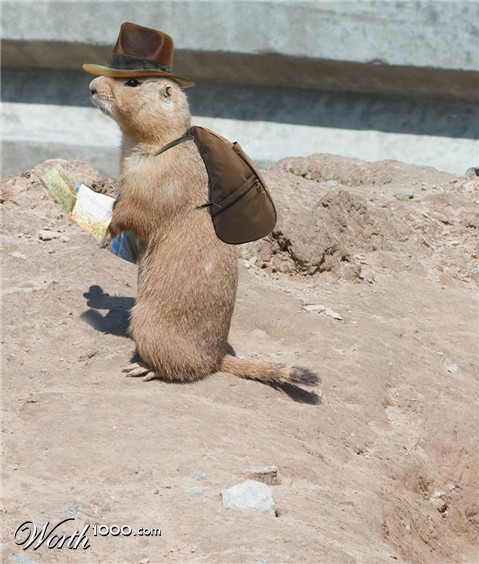 Photoshop Design by rockwave