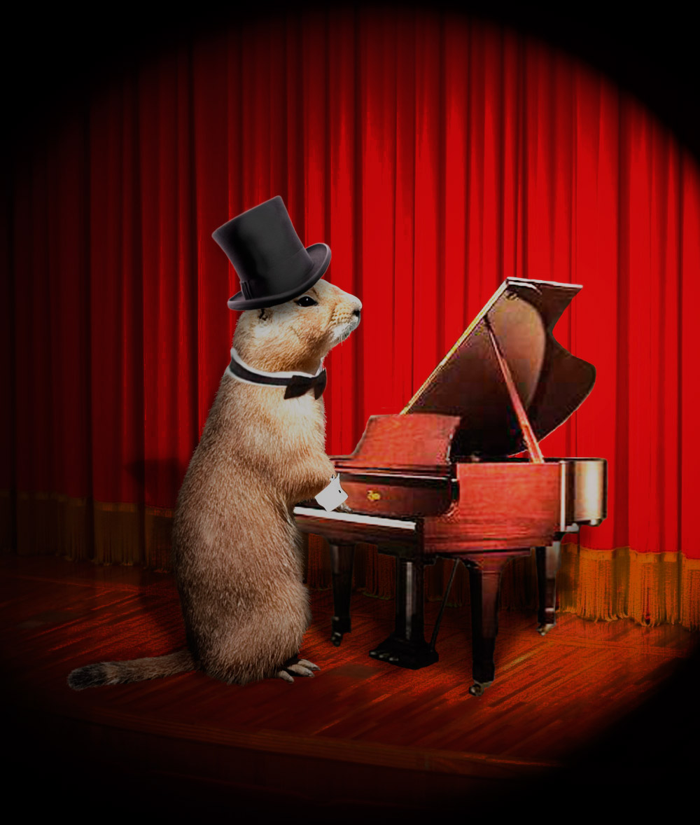 Photoshop Design by blazingstar for DesignCrowd (Community Contests) | Design #8975784