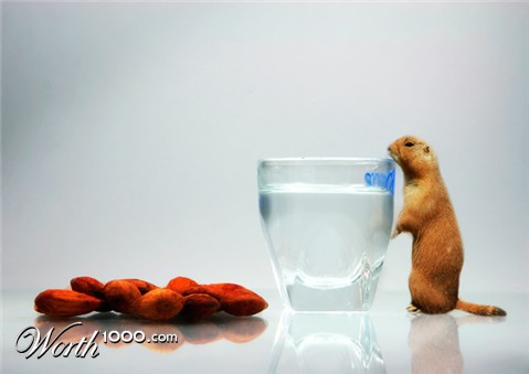 Photoshop Design by Renata33