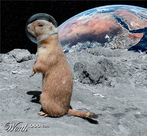 Photoshop Design by Hamhamham