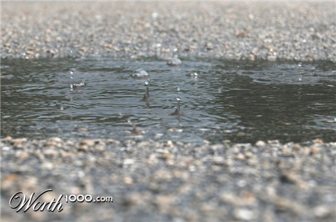 Photography by Kimberly22