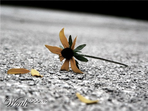 Photography by JackH0L3