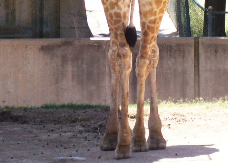 Photography by BerlinBear for DesignCrowd (Community Contests) | Design #8978291