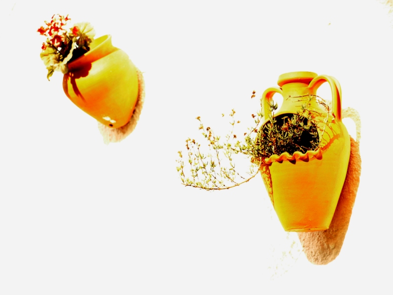 Photography by vtrpina for DesignCrowd (Community Contests) | Design #8975100