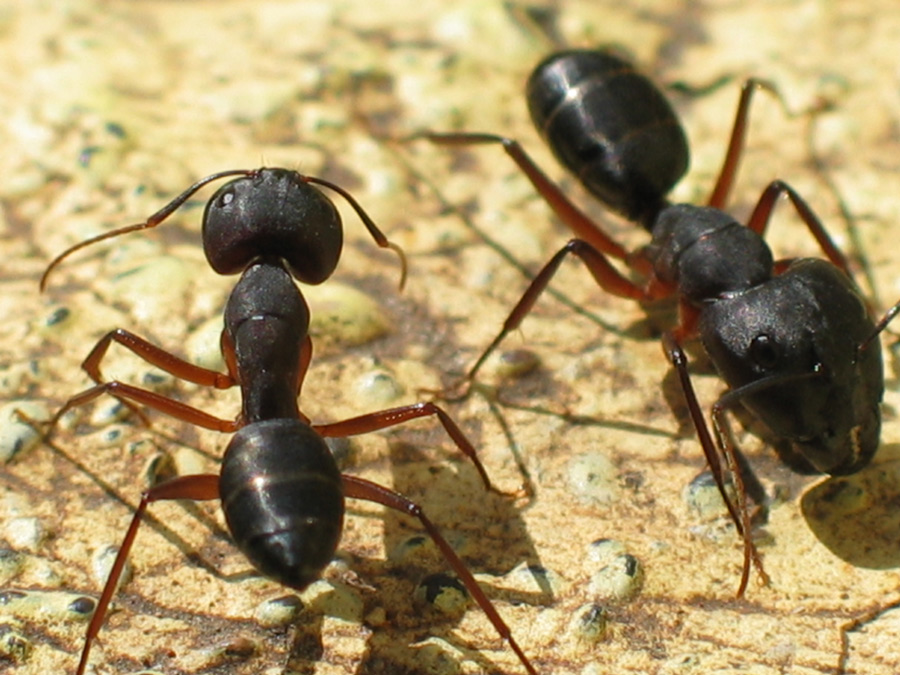 Photography by Chris90 for DesignCrowd (Community Contests) | Design #8978328