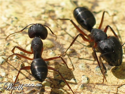 Photography by Chris90