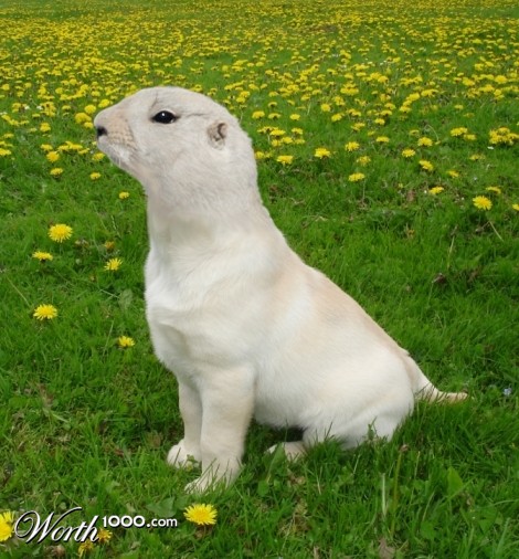 Photoshop Design by 14franko