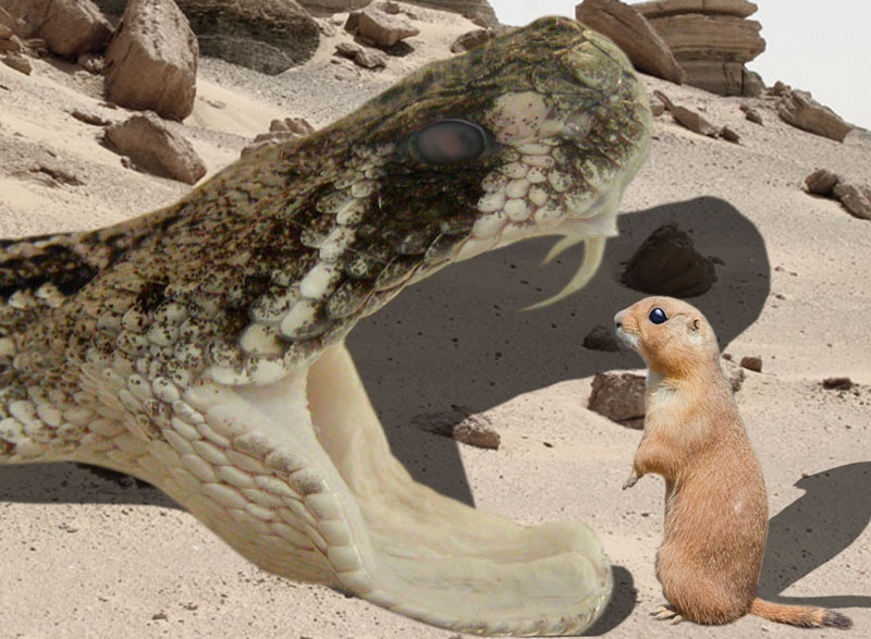 Photoshop-Design von sobeln für DesignCrowd (Community Contests) | Design #8975894