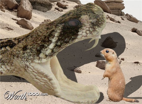 Photoshop Design by sobeln