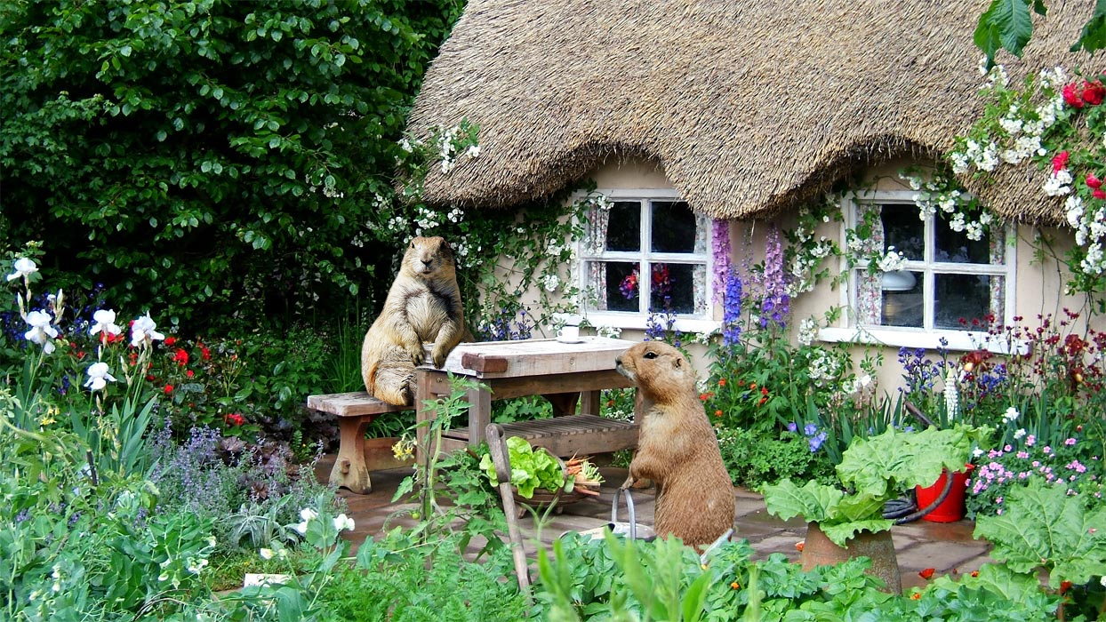 Diseño de Photoshop por Swaggers para DesignCrowd (Community Contests) | Diseño #8975871