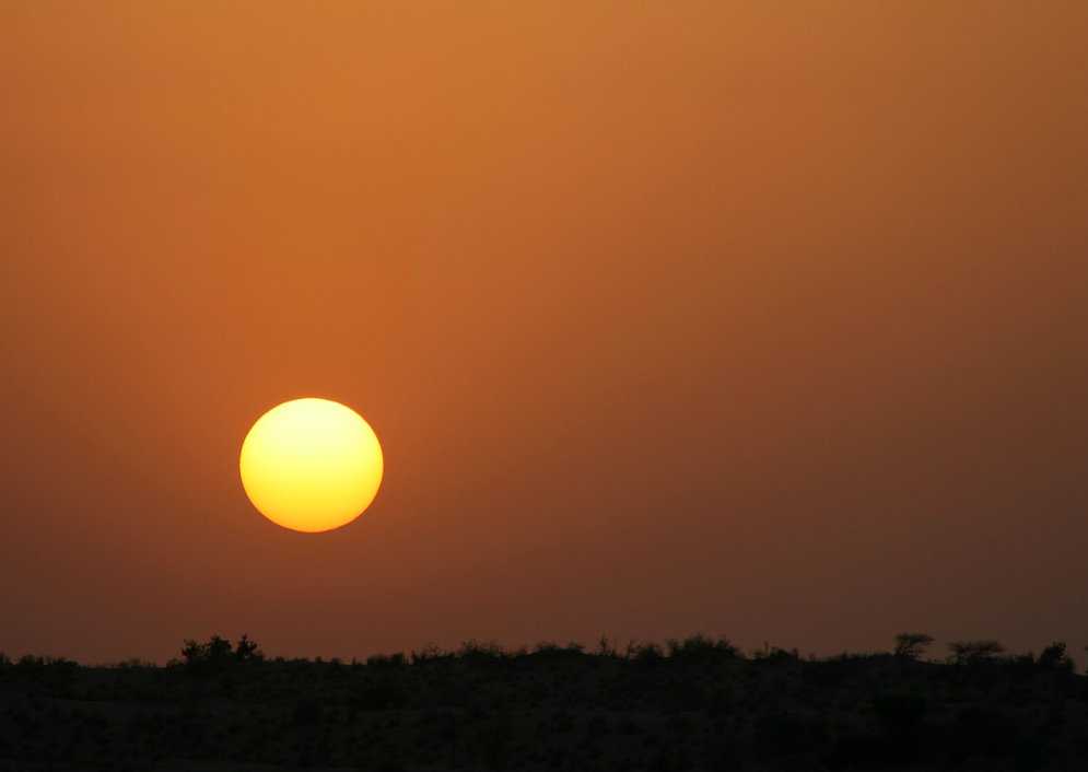 Photography by Rouwkema for DesignCrowd (Community Contests) | Design #8978612