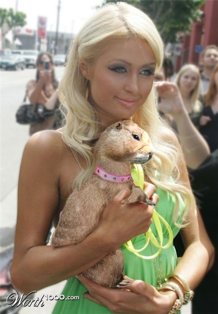 Photoshop Design by pixelmepink