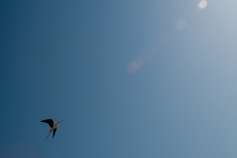 Photography by AIRPABLO for DesignCrowd (Community Contests) | Design #8978616