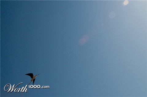 Photography by AIRPABLO