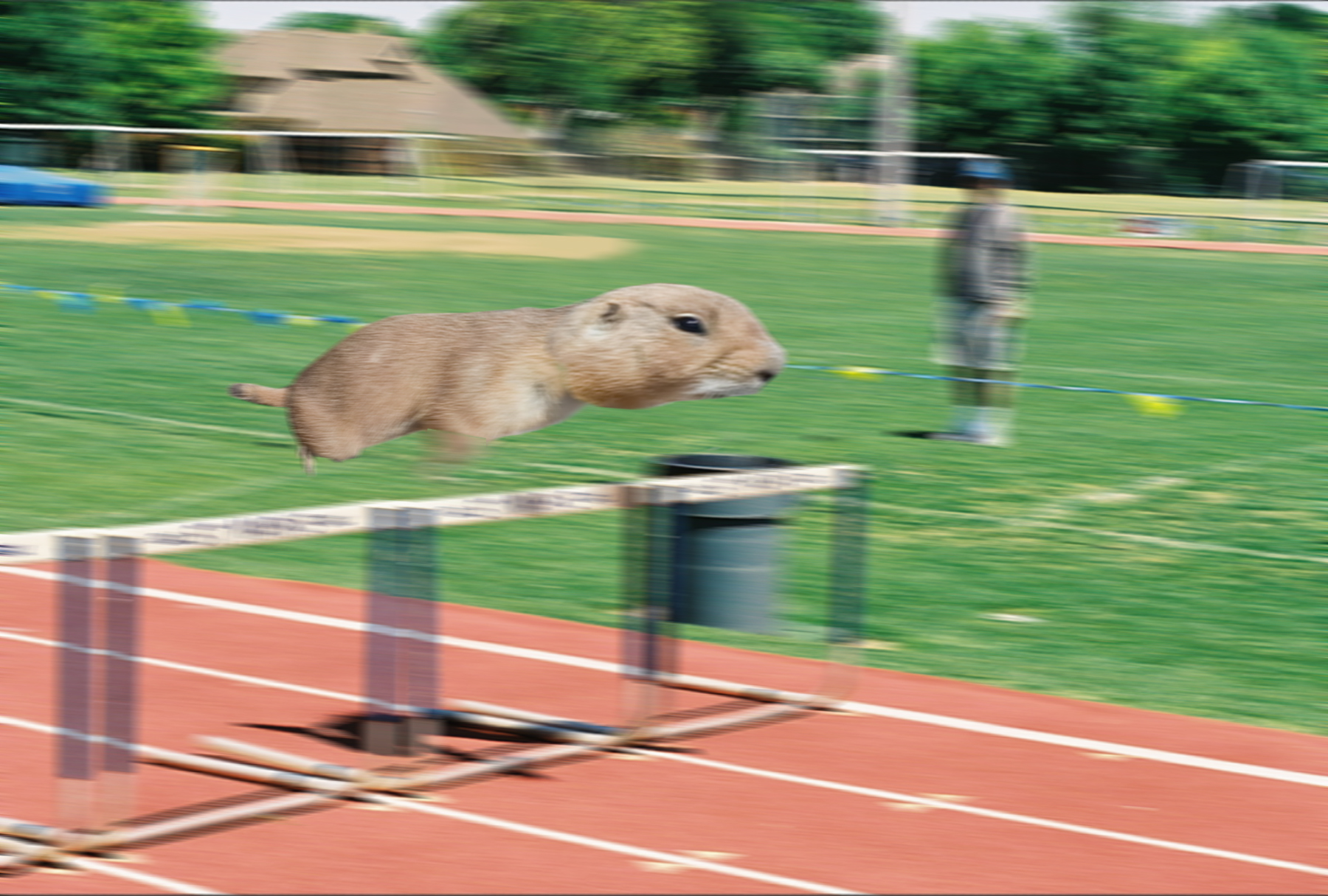 Diseño de Photoshop por jarree para DesignCrowd (Community Contests) | Diseño #8975875