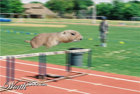 Photoshop Design by jarree