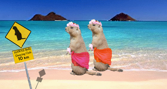 Photoshop Design by BrigitteN for DesignCrowd (Community Contests) | Design #8975909