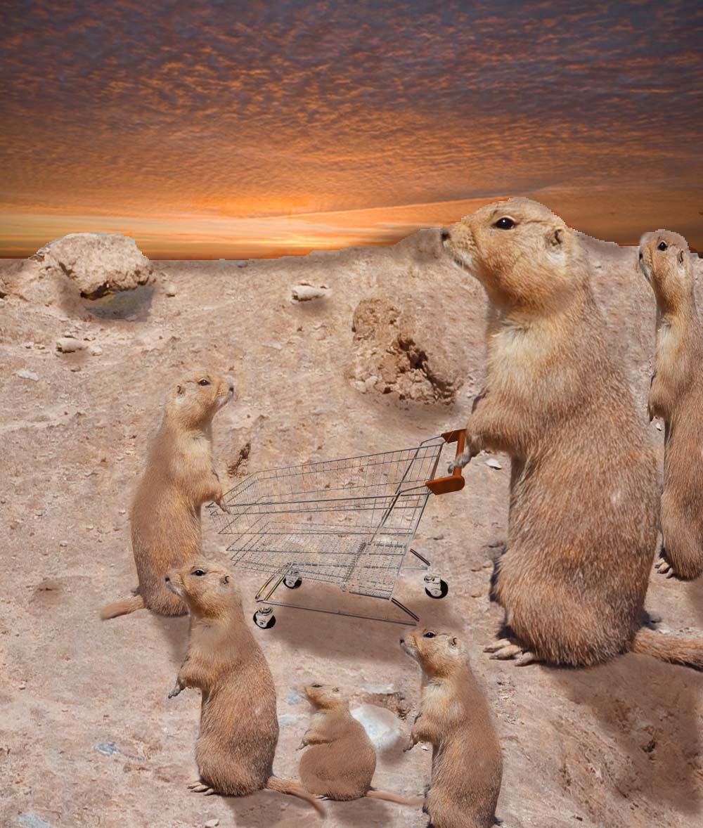 Photoshop Design by Pucker for DesignCrowd (Community Contests) | Design #8975836