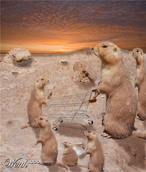 Photoshop Design by Pucker