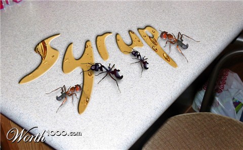 Photoshop Design by Biddee