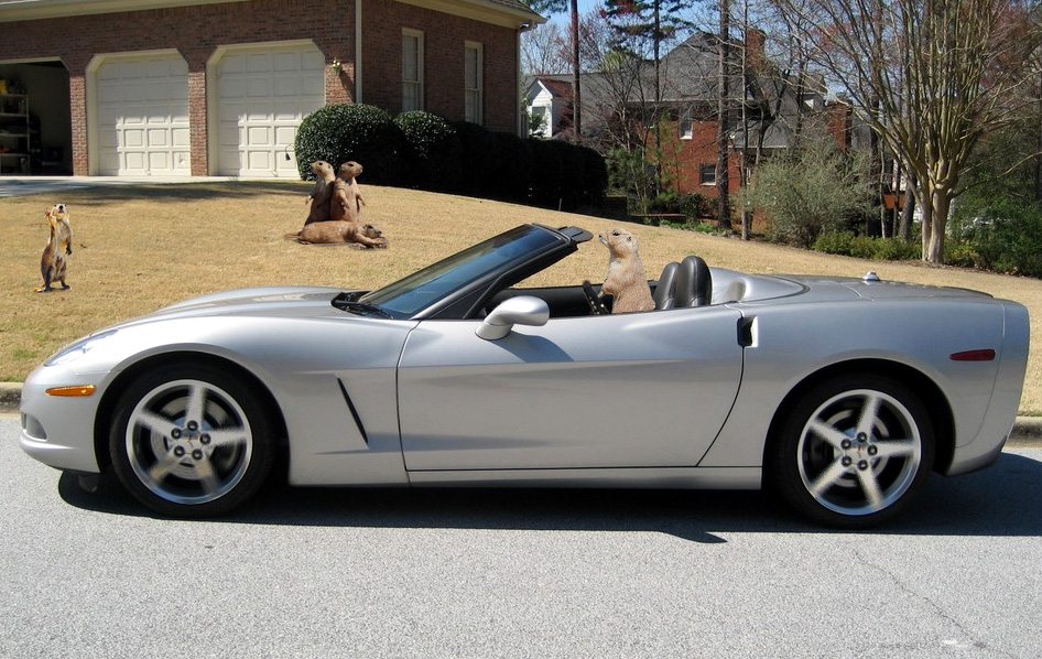 Photoshop-Design von Cadder für DesignCrowd (Community Contests) | Design #8975821