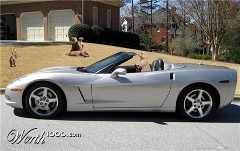 Photoshop Design by Cadder