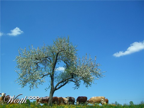 Photography by redcats