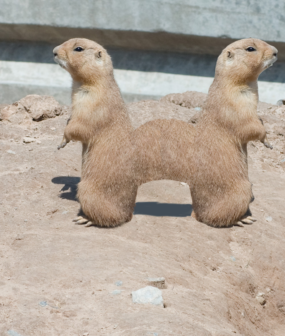 Photoshop-Design von rayhyde für DesignCrowd (Community Contests) | Design #8975867