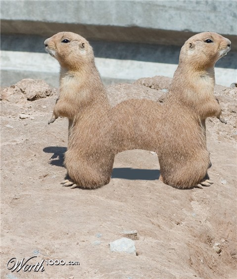 Photoshop Design by rayhyde