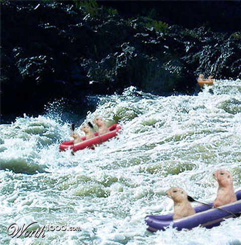 Photoshop Design by shelbyzman