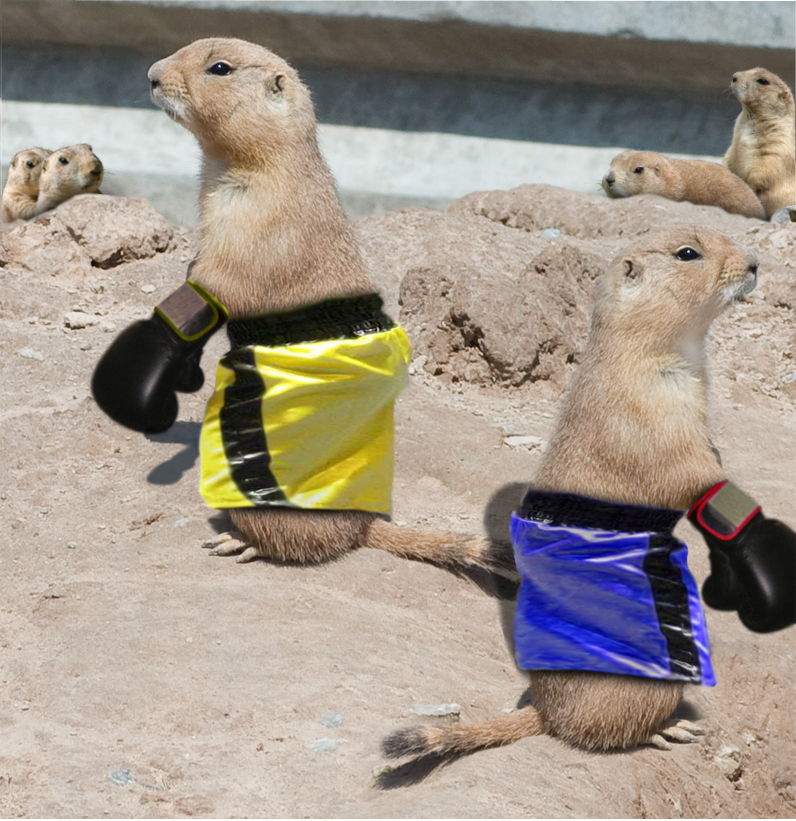 Photoshop Design by lucimine for DesignCrowd (Community Contests) | Design #8975851