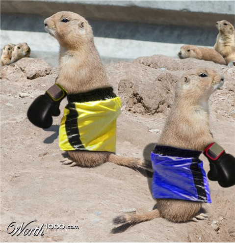 Photoshop Design by lucimine