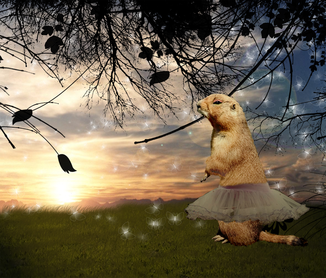 Photoshop Design by keka01 for DesignCrowd (Community Contests) | Design #8975878
