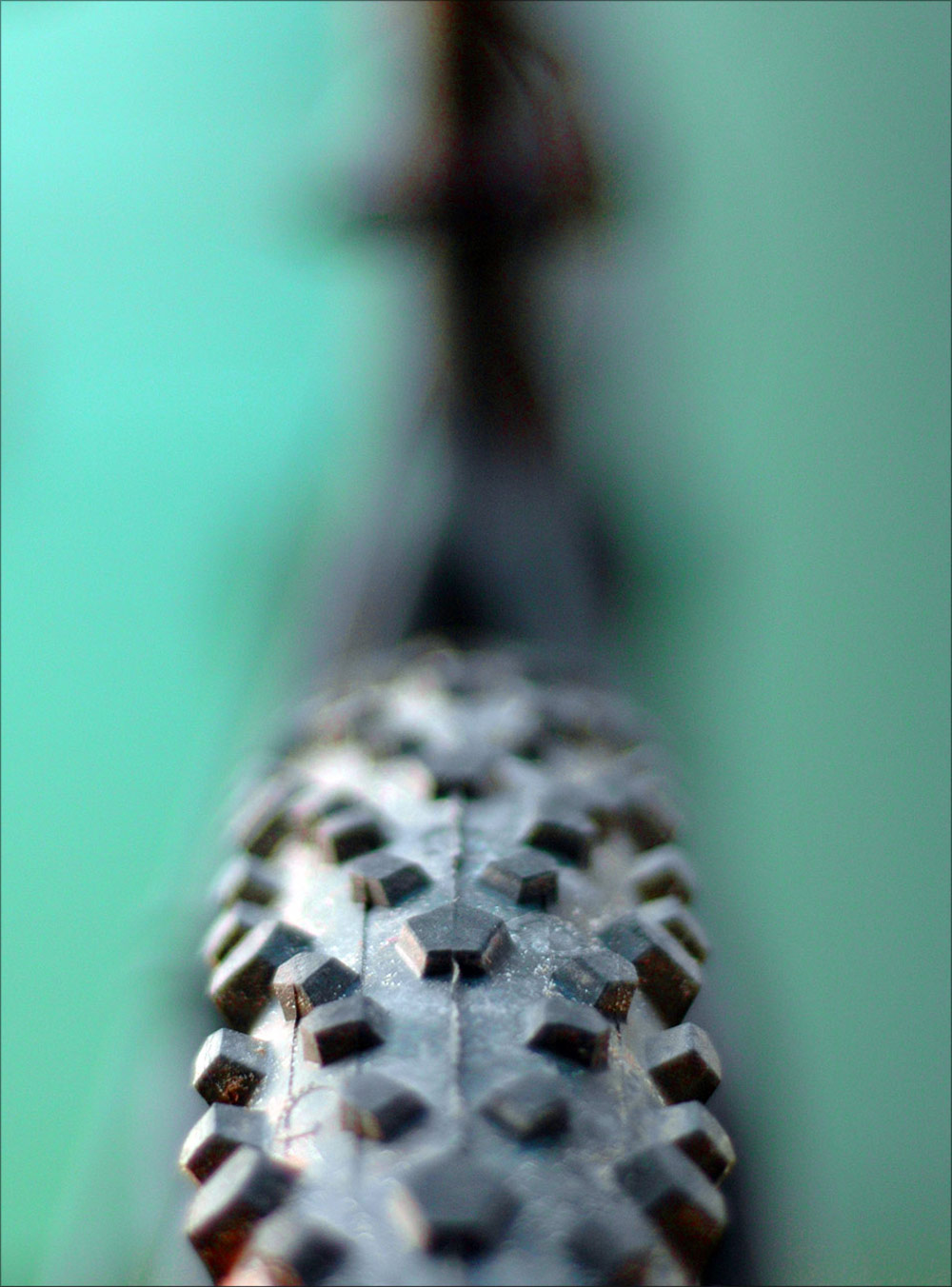 Fotografía por Roel1969 para DesignCrowd (Community Contests) | Diseño #8974968