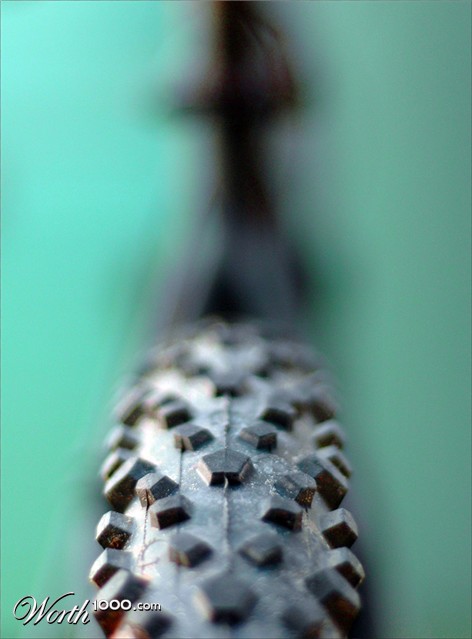 Photography by Roel1969