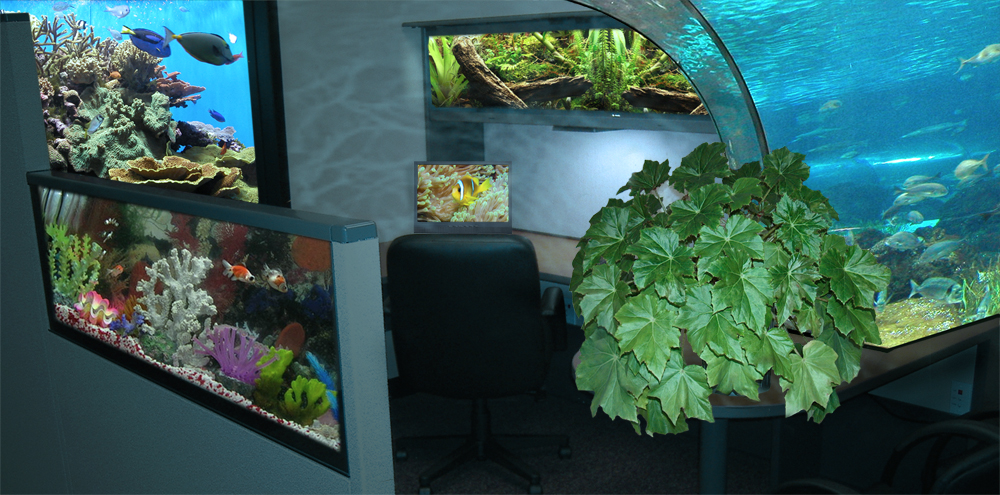 Photoshop-Design von Biddee für DesignCrowd (Community Contests) | Design #8980862