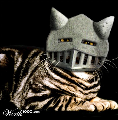 Photoshop Design by shelbyzman