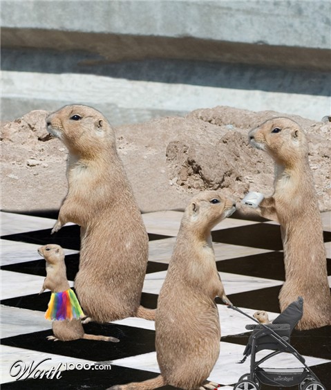 Photoshop Design by darealflow