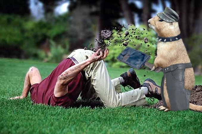 Design Photoshop par LadyHawk771 pour DesignCrowd (Community Contests) | Design #8975943