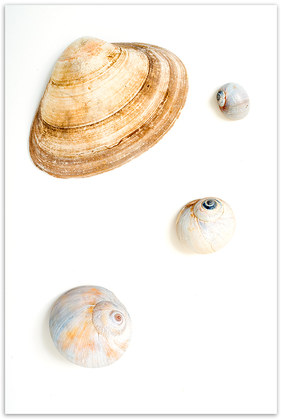 Fotografie von SigloV für DesignCrowd (Community Contests) | Design #8975112