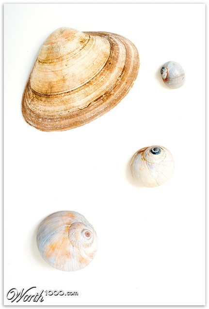 Photography by SigloV