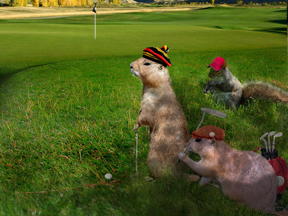 Photoshop Design by Bebo21 for DesignCrowd (Community Contests) | Design #8975997