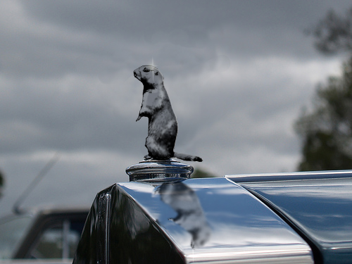 Photoshop Design by fouljack for DesignCrowd (Community Contests) | Design #8975941