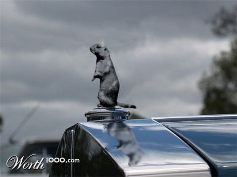 Photoshop Design by fouljack