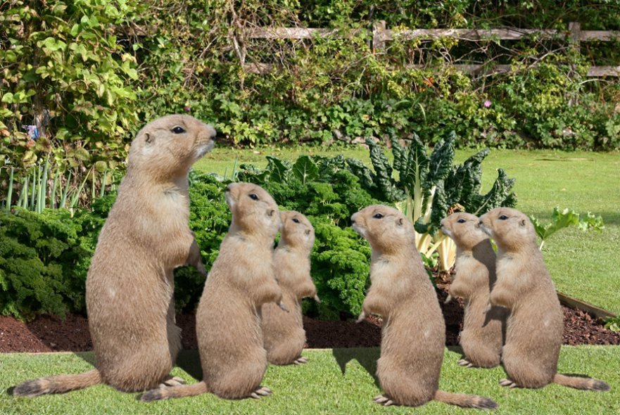 Photoshop Design by GrandmaNita for DesignCrowd (Community Contests) | Design #8976011